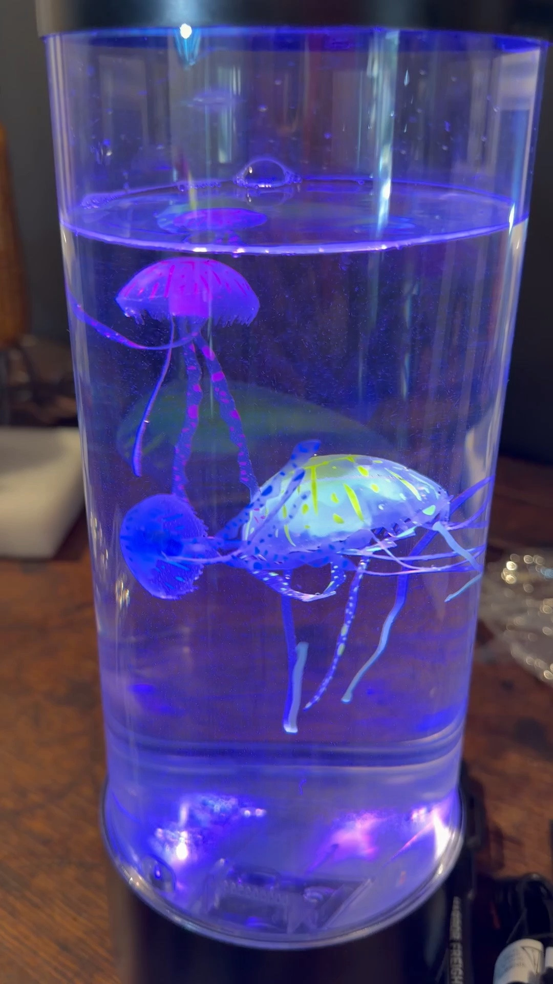 Jellyfish lava lamp

#LTKdayinmylife #LTKHome #LTKKids