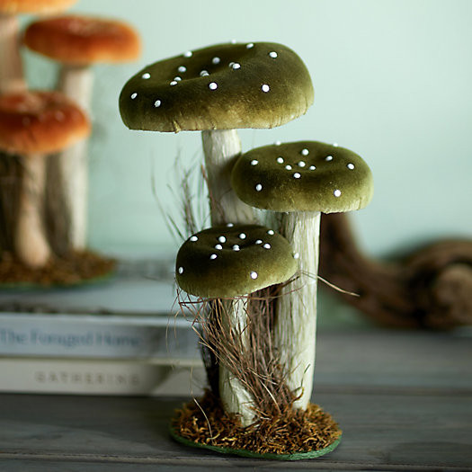 Velvet Mushroom Trio | Terrain