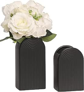 Black Vases, Set of 2 Vases, 8”​ Tall Black Ceramic Vase and 6.5”​ Small Vase, Vases for ... | Amazon (US)