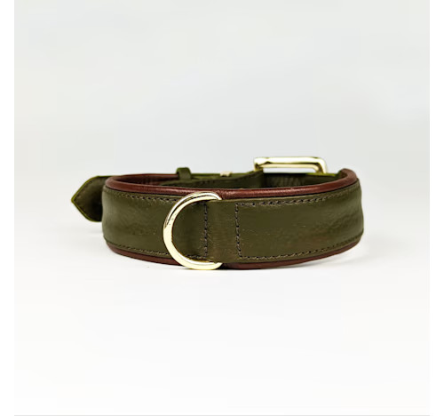 Le Dog Company Grass Green Padded Collar, Medium | Petco