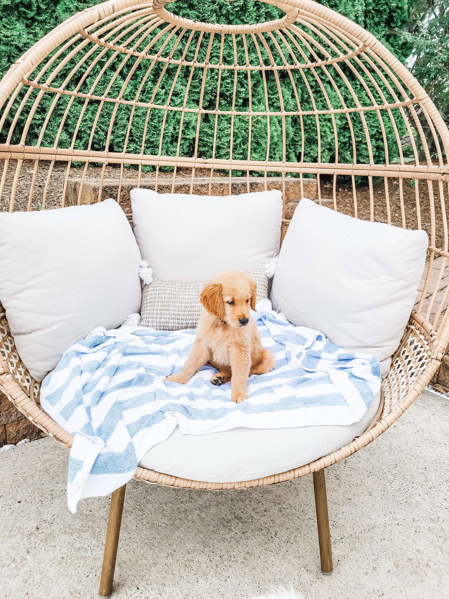 The comfiest egg chair!

patio furniture, patio decor, blue and white towels, beach towels, pool towels, cabana stripe towels, outdoor pillow

#LTKFind 

#LTKhome #LTKstyletip