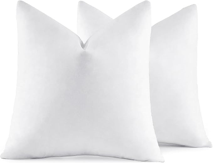 MIULEE 22x22 Pillow Inserts,Set of 2 Down Feather Throw Pillows for Couch Sofa Bed, Decorative Fl... | Amazon (US)
