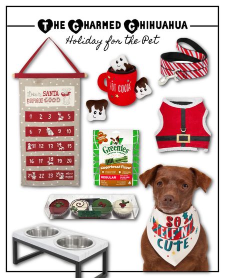 Gifts for the dog!

Gifts for the pet, dog bandana, Christmas for the dog, dog toy, Christmas count down calendar, dog treats, gift guide

#LTKfamily #LTKHoliday #LTKGiftGuide