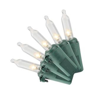 Home Accents Holiday 100 Twinkling Warm White Mini LED String Lights with White Wire TY100L-SMTW-... | The Home Depot