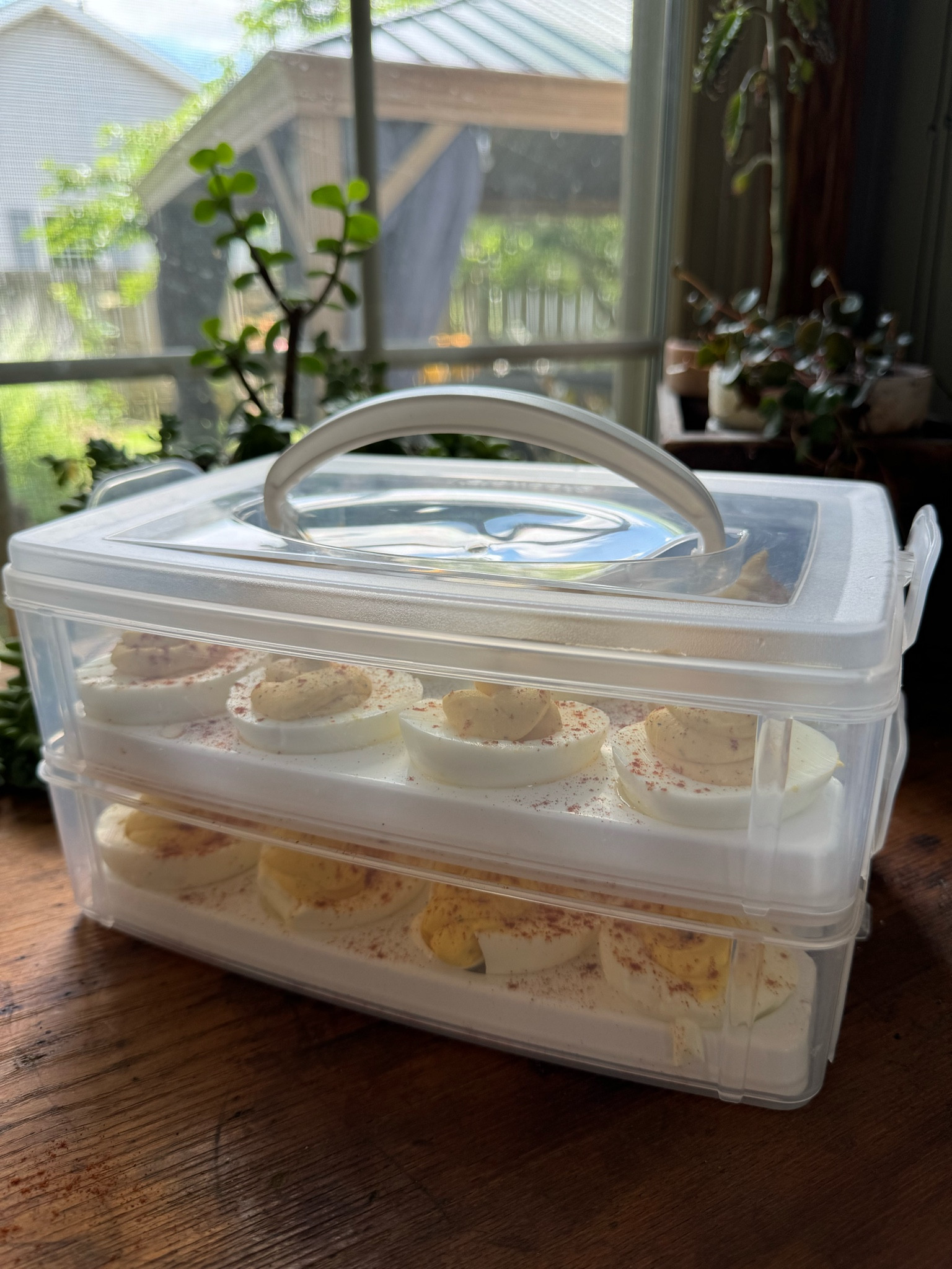 Portable Egg Carrier

#LTKHome #LTKU #LTKFindsUnder50