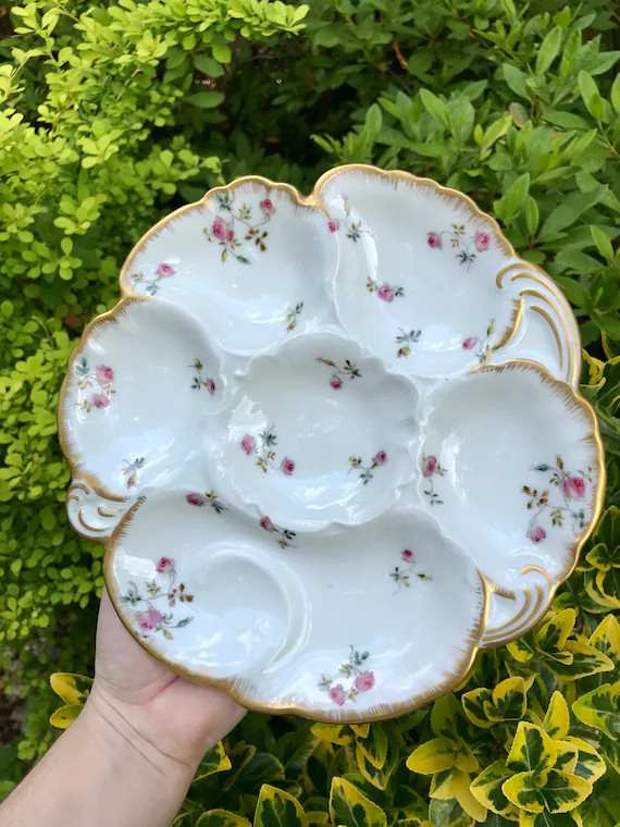 Antique Charles Field Haviland Limoges oyster plate with rosette motif | Etsy (US)