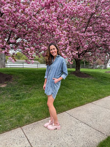 Denim dress from Target - perfect for spring! 💙

Denim shirt dress // denim mini dress // spring outfit // loafer mules // spring fashion at target 

#LTKfindsunder50 #LTKSeasonal #LTKstyletip