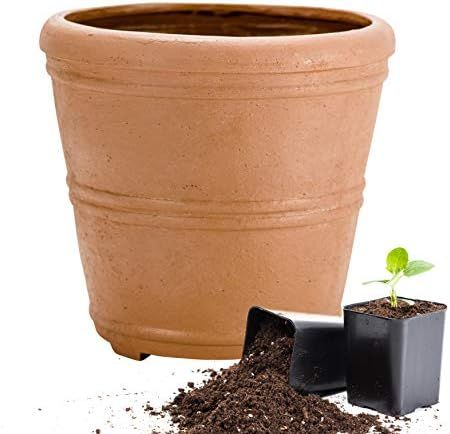 Martha Stewart Garden, Round False Bottom Planter, 12 Inch, Terracotta | Amazon (US)