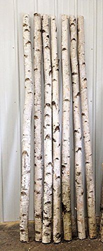 Decorative Birch Poles 4ft (4 Poles 1 1/2"-2 1/2" dia.) | Amazon (US)