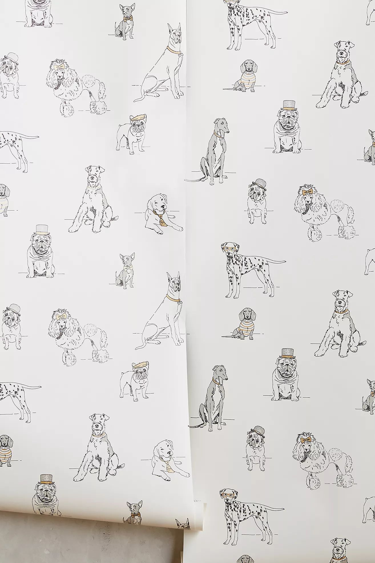 Dog's Life Wallpaper | Anthropologie (US)