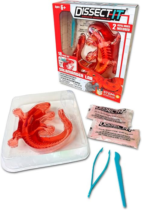 Dissect-It Kit for Kids, Simulated Synthetic Lab Dissection Toy, Salamander STEM Toys for Animal ... | Amazon (US)