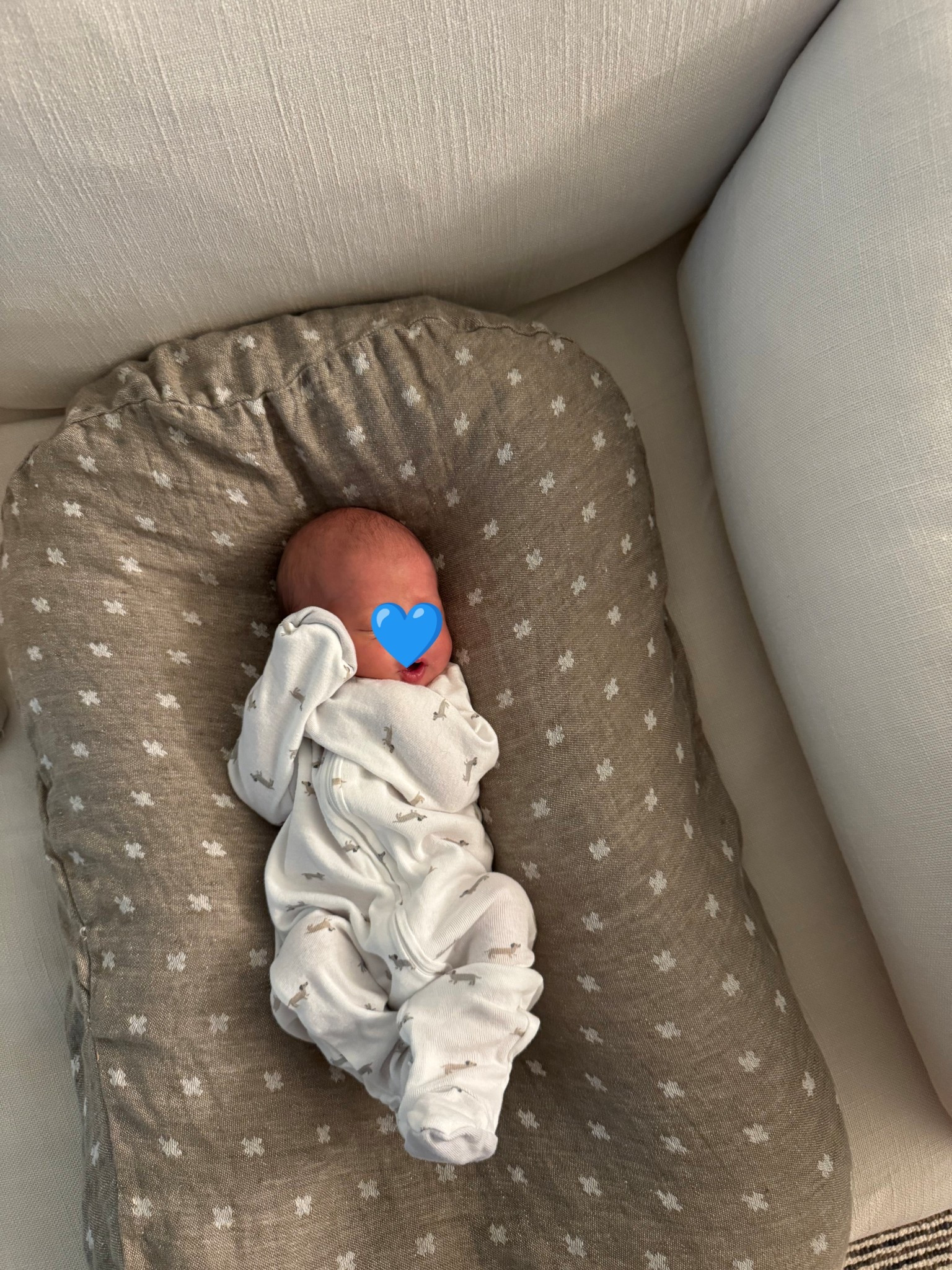 We love using our Snuggle Me Lounger these days 🤌🏻 

#LTKBaby #LTKFamily