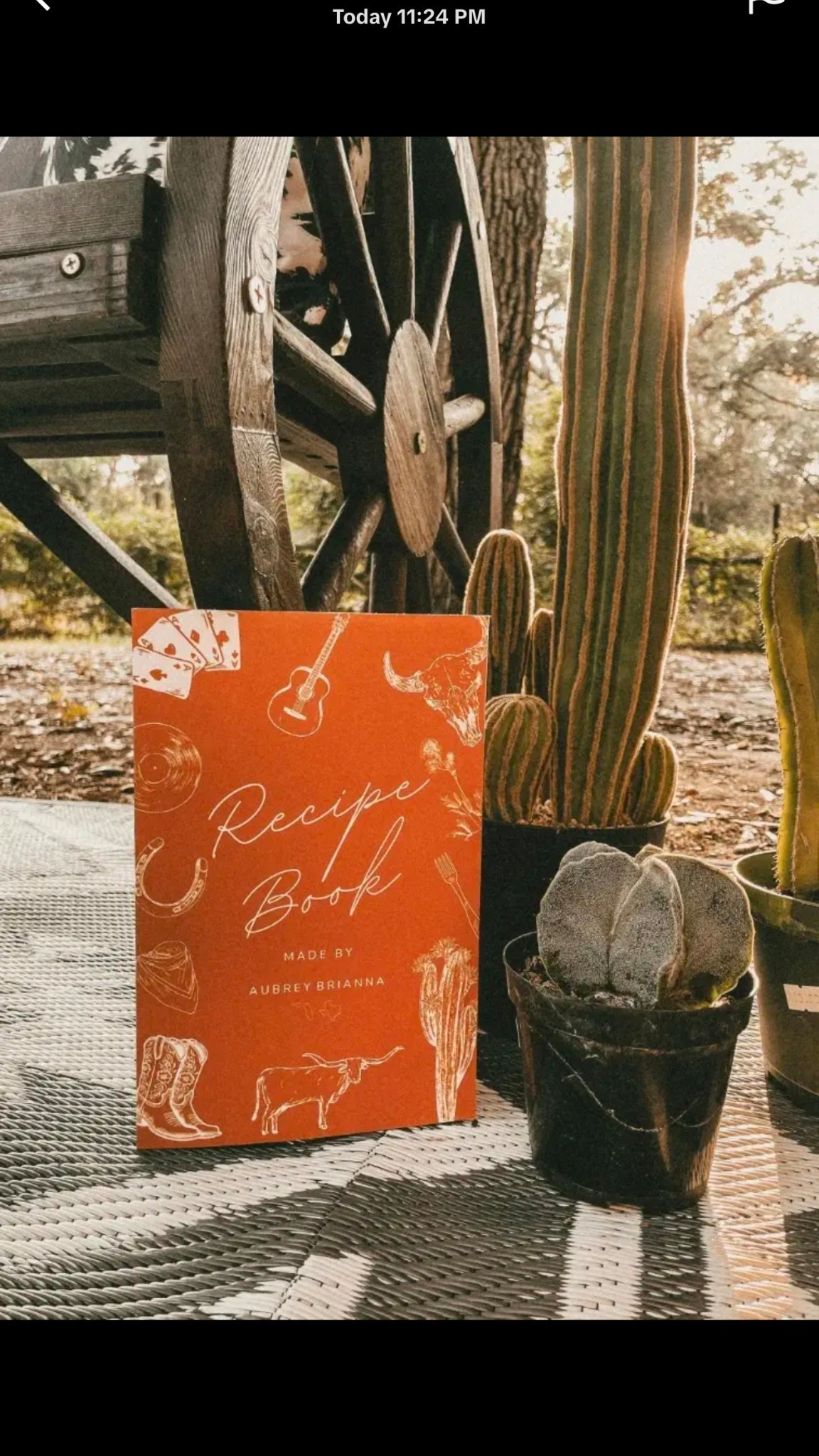 Southern cookbook! (I use this on my tik tok cooking series) #southerncooking #cookbook 

#LTKHome #LTKvlog #LTKmomlife