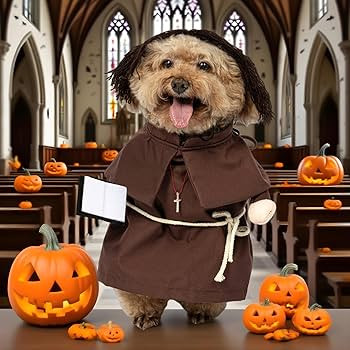NACOCO Halloween Dog Priest Costume - Pet Minister Clothes Cat Funny Pope Clergy Outfit Apparel A... | Amazon (US)