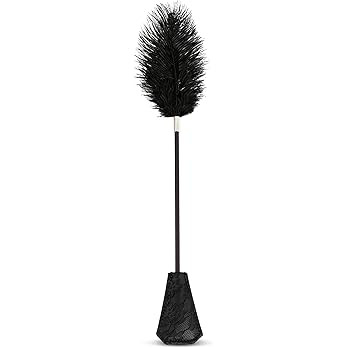 Feather Tickler for Play Faux Feather Tickler Cosplay Show Tickler Crop French Tickler | Amazon (US)