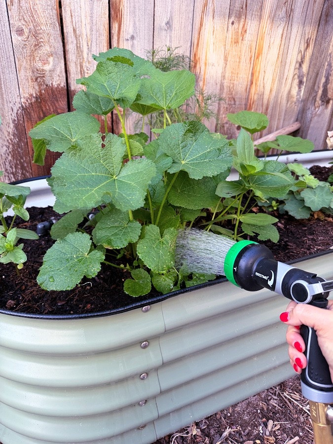 This hose nozzle has been such a fun find for summer watering 🌿 I love that it can be used as both a regular nozzle and a sprinkler, which makes it so handy and versatile!

#LTKSeasonal #LTKHome #LTKSaleAlert