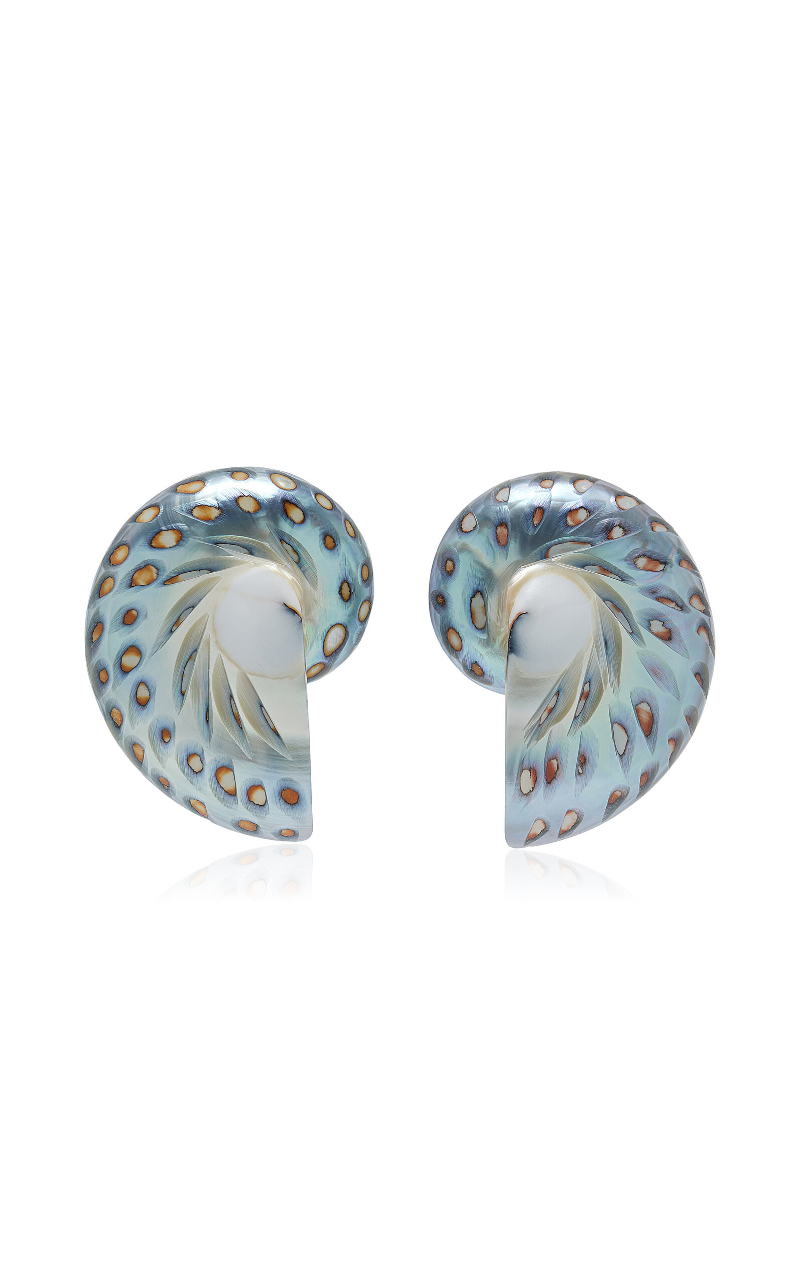 Exclusive Nautilus Shell Earrings | Moda Operandi (Global)