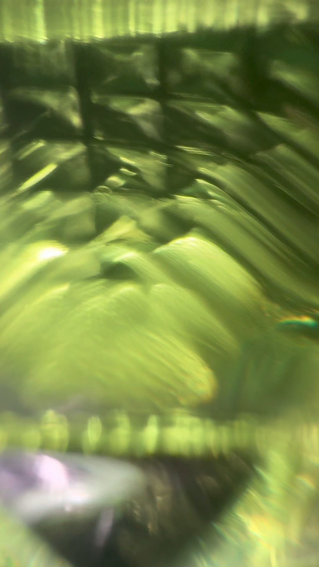 Forget blue ….. I’m feeling GREEN today 💚💚💚
#makeupveee #fragrance #perfume #sotd #scent #kayali #brownsugarbabe #valentino  #valentinofragrance #green #greenery #greeneyes #greenenergy

#LTKxMadewell #LTKTravel #LTKStyleTip