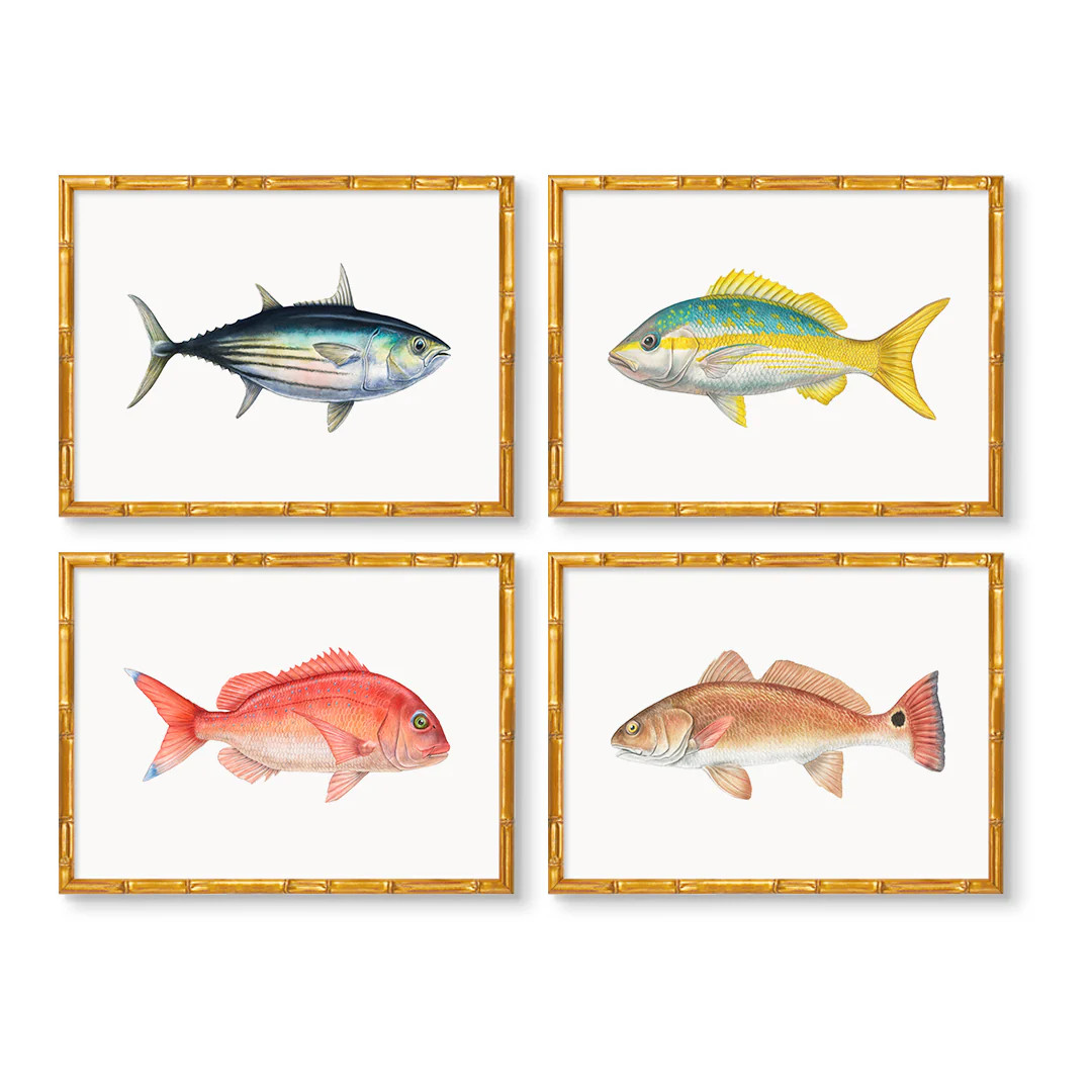 Carolina Fish Set of 4 by Charleston Blonde | Urban Garden Prints