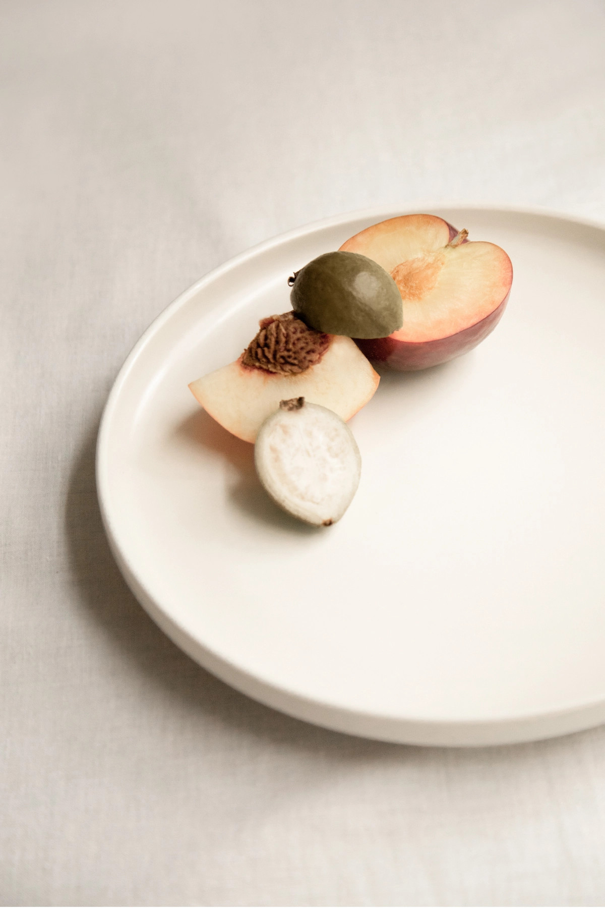 STONEWARE DINNER PLATE SET OF 4 | OAK + FORT