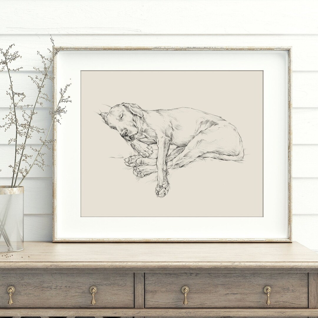 Labrador Retriever Art Print by Artist, Ethan Harper. Black Lab Drawing Wall Decor. - Etsy | Etsy (US)