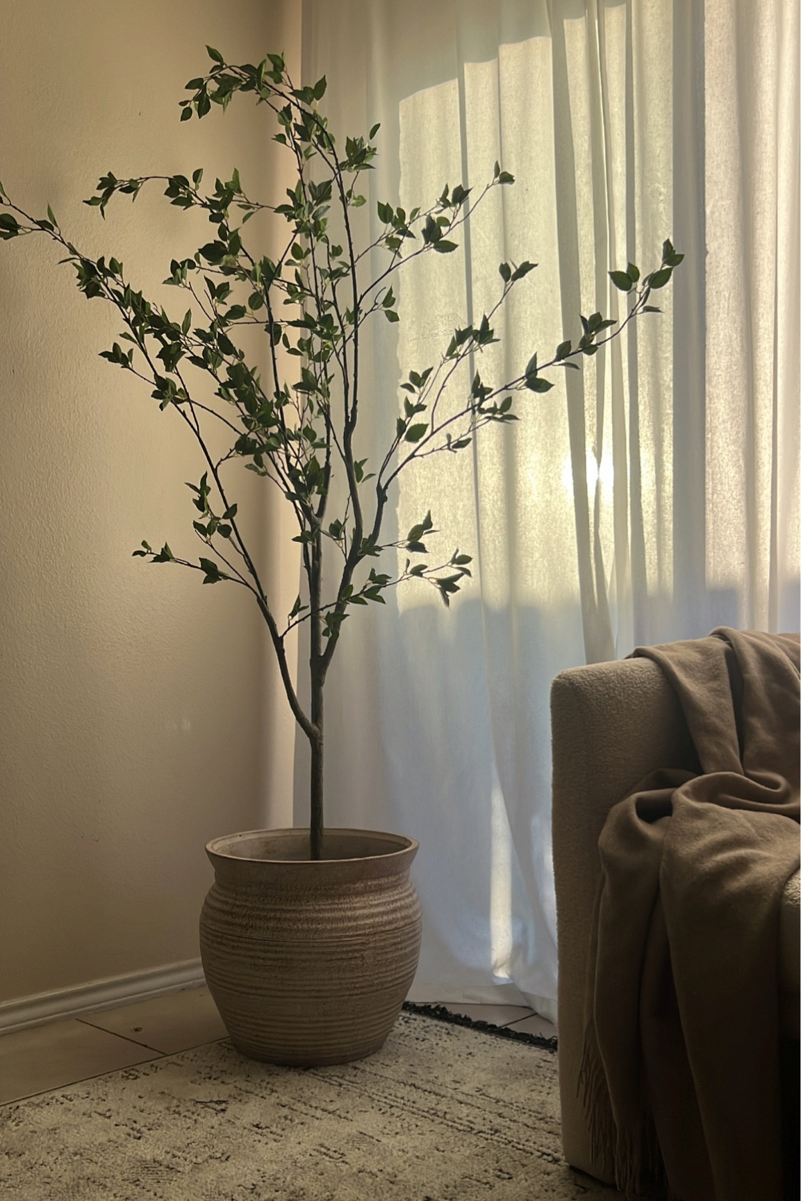 This tree has added the perfect touch to our home 😩 I love it. I got the 6.5 ft one 

#LTKstyletip #LTKhome #LTKFind