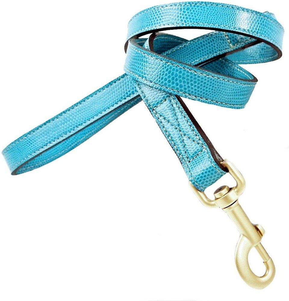 Hartman & Rose Park Avenue Leather Dog Leash, Teal, 4-ft long, 1/2-in wide | Chewy.com