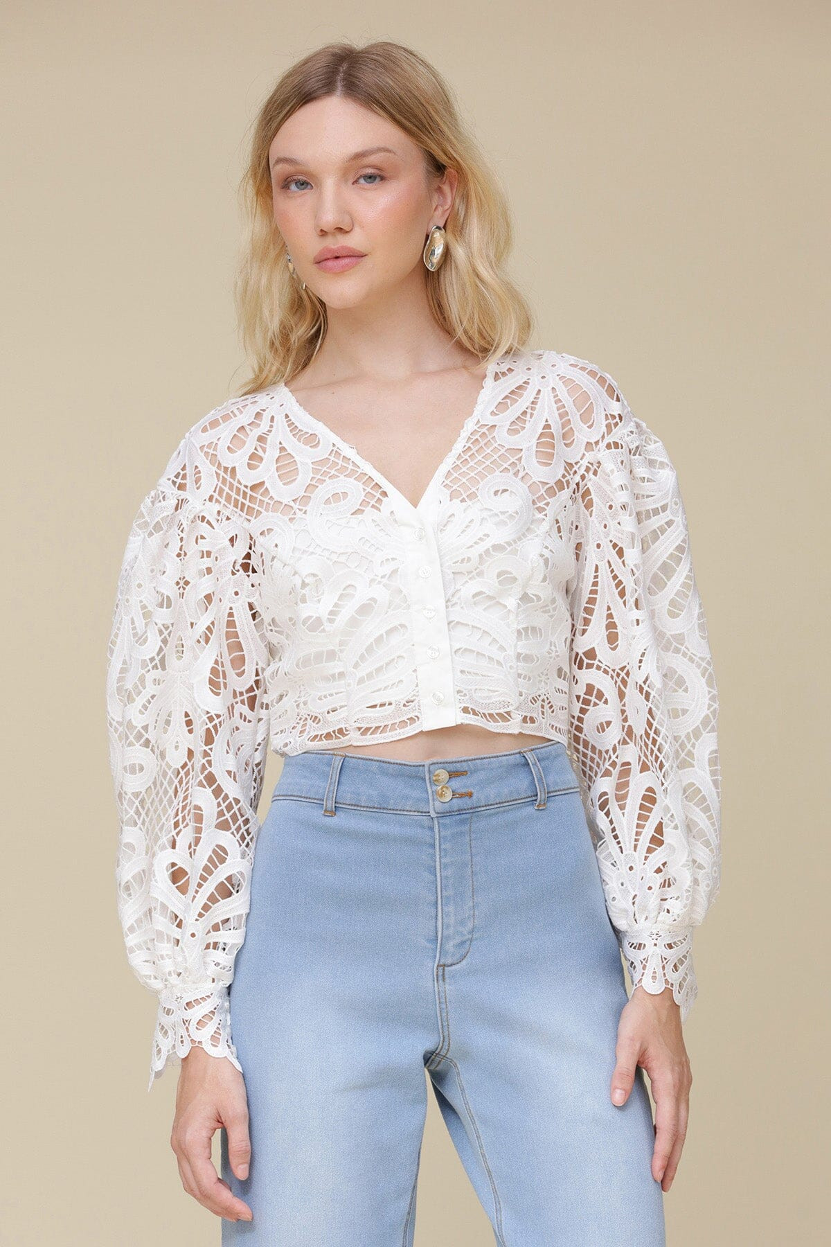 Embroidered Lace Puff Sleeve Crop Top | Avec Les Files