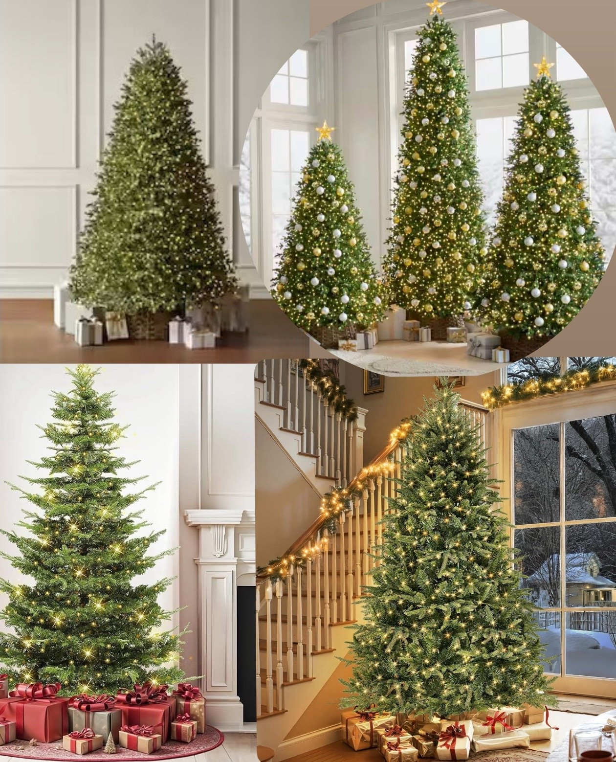 Christmas Trees 

#LTKHome #LTKFamily #LTKSeasonal