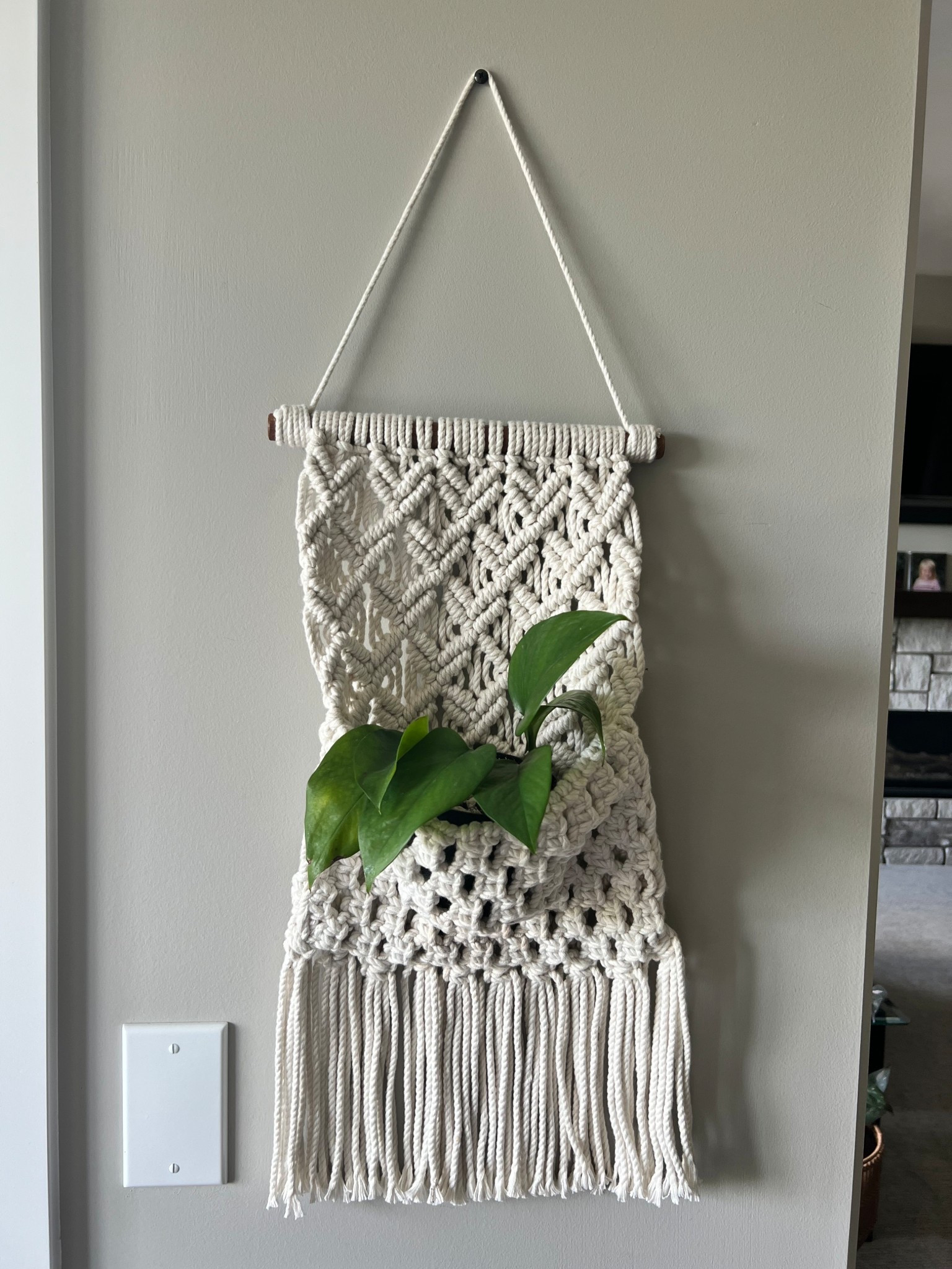 Macrame plant holder. 

#macrame #plant 

#LTKHome