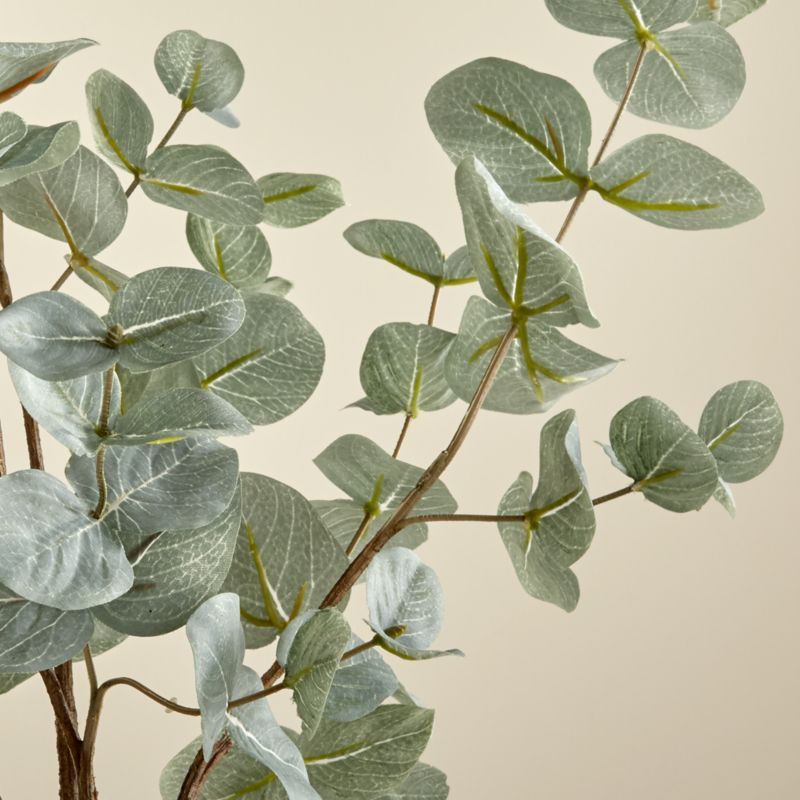 Faux Eucalyptus Bunch | Crate & Barrel