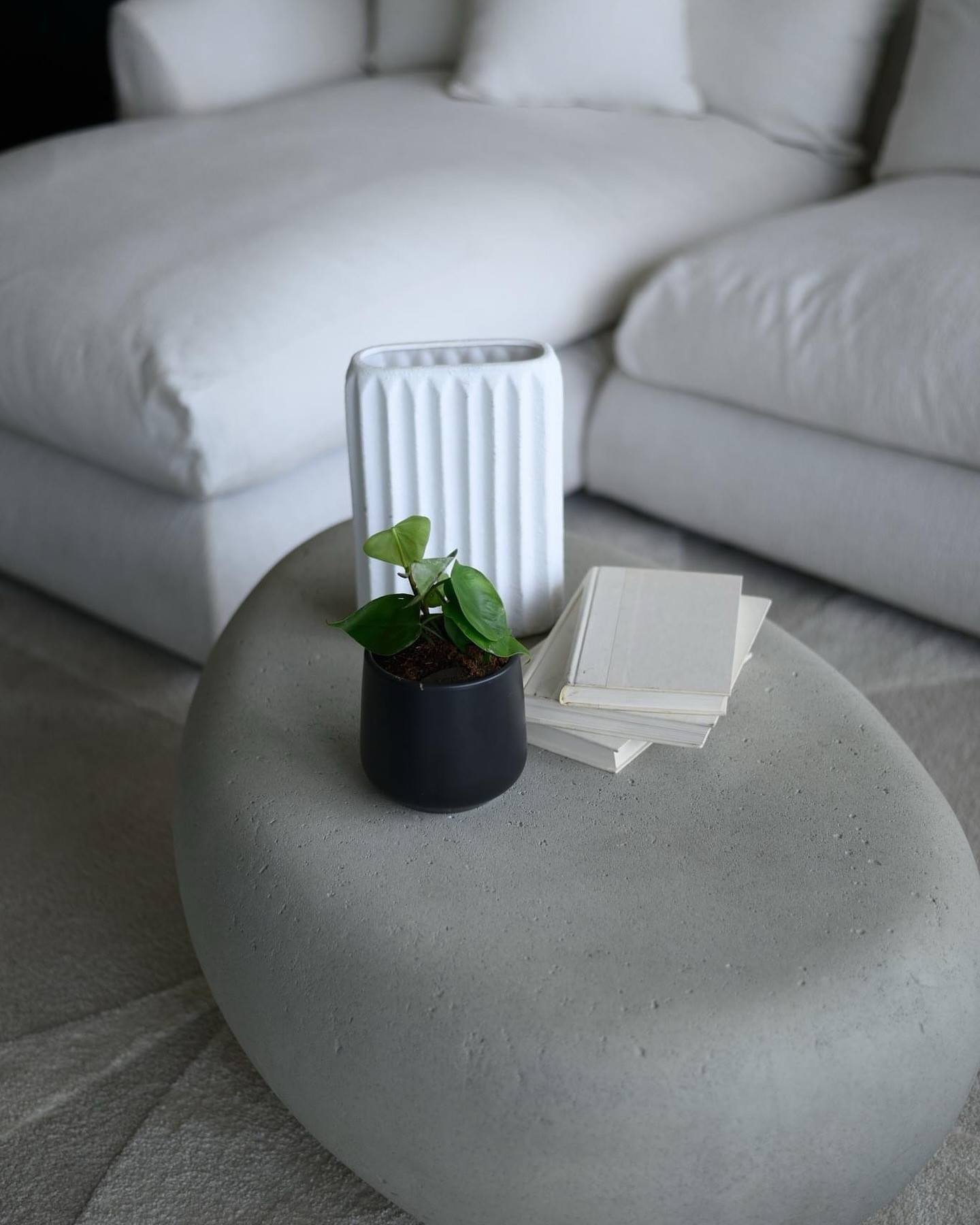 Letting you in on a little sourcing secret ;). 

One of our favorite places to buy real, but easy to maintain plants for clients is @easyplant . 

No special link or anything, but their consistency is worth the mention!