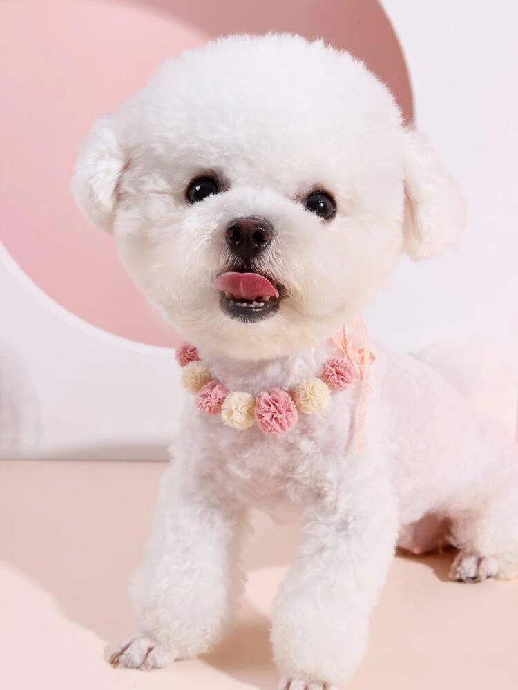 1pc Dog Pom-pom Decor Necklace | SHEIN