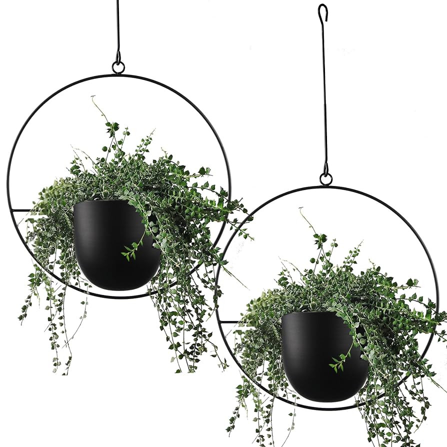 2 Pcs Hanging Planters for Indoor and Outdoor Plants with Hooks and Chains, Metal Modern Wall Cei... | Amazon (US)