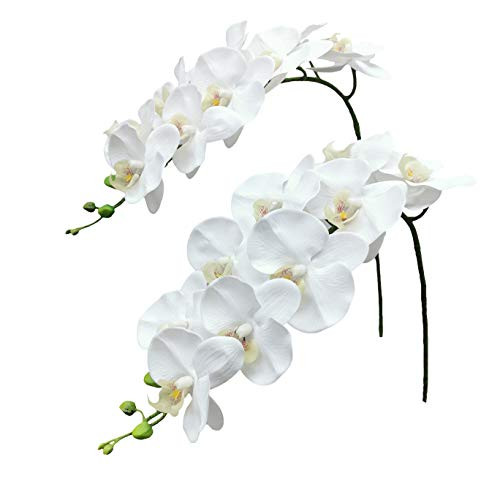 Fnize Orchid Stems Artificial Flowers Real Touch Latex Faux Phalaenopsis Branches 9 Large Blooms 38 Inches 2pcs White | Amazon (US)