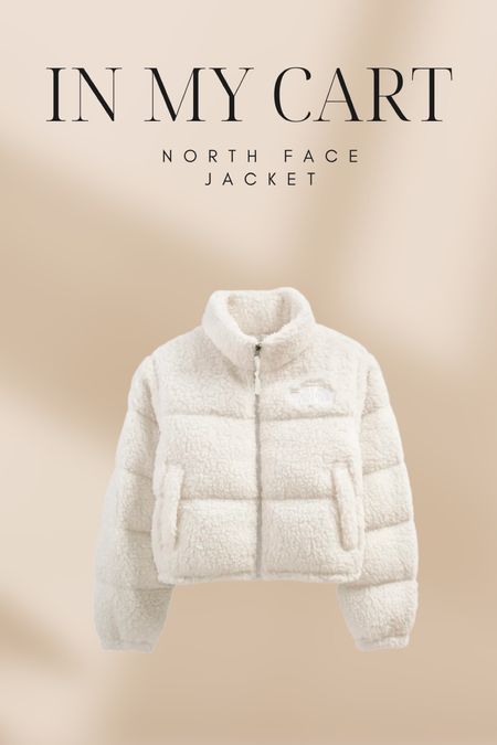 In my cart: North Face Sherpa jacket 



#LTKSeasonal #LTKstyletip