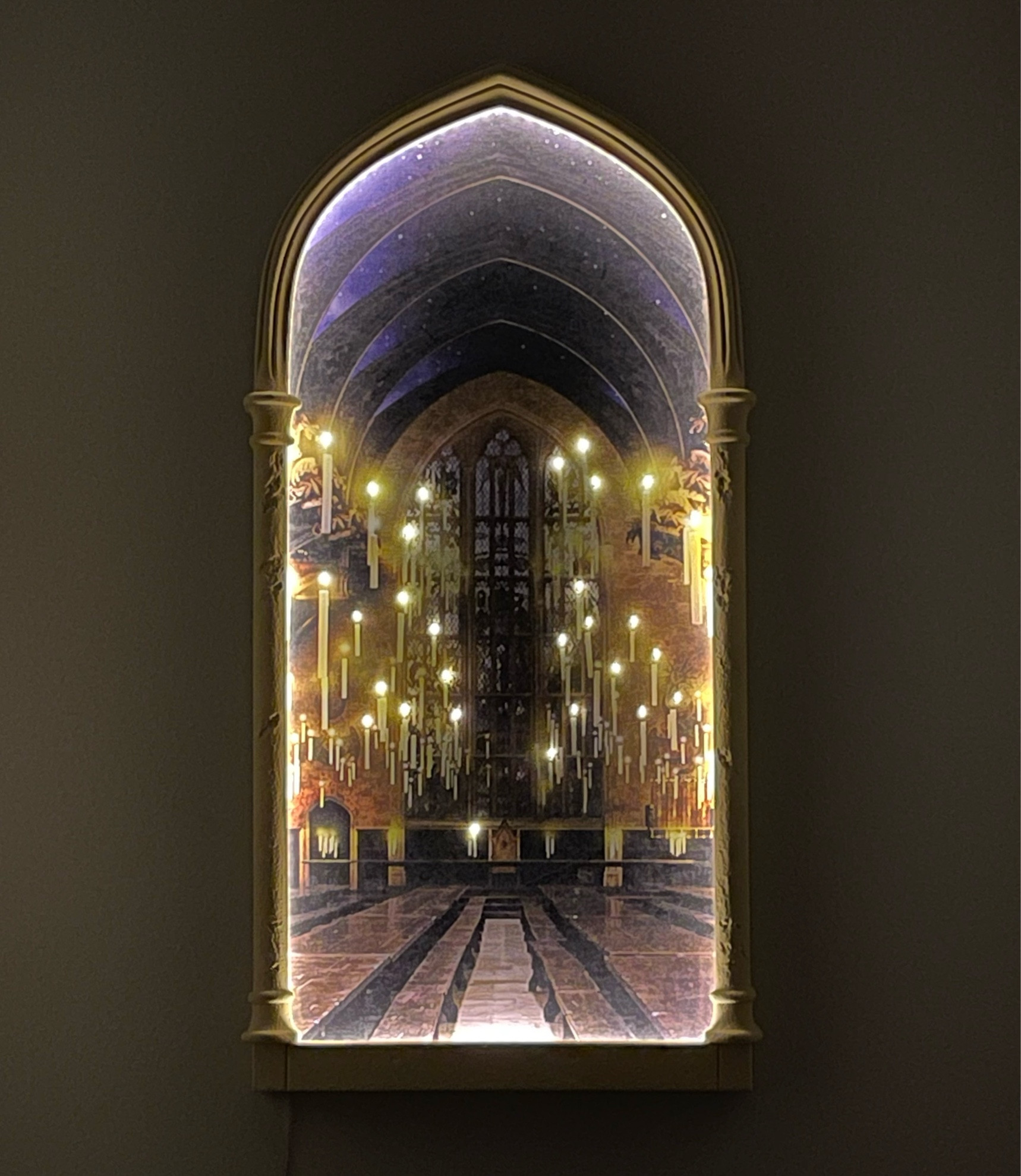 Harry Potter™ Light Up Mirror Door curated on LTK