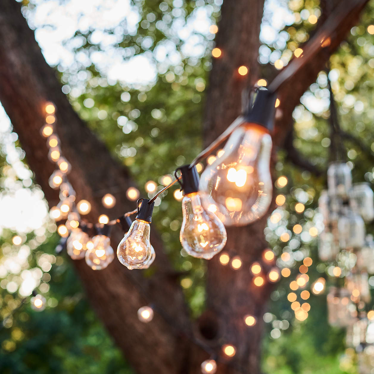 Vintage Edison Bulb Outdoor String Lights + Reviews | Crate & Barrel | Crate & Barrel