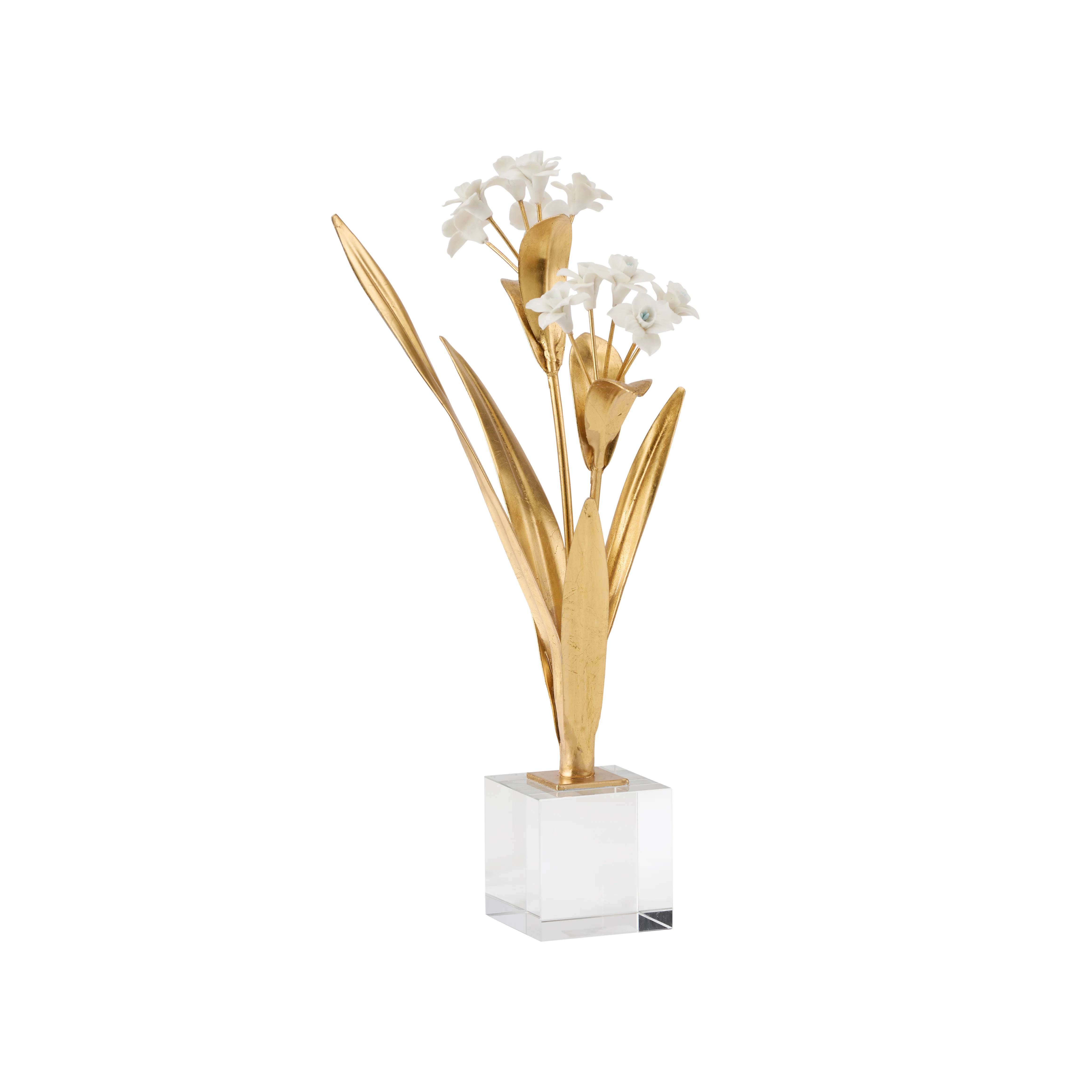 Paperwhite Narcissus | Wayfair North America