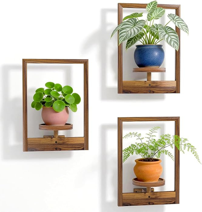 NATURE'S SOURCE Hanging Planters for Indoor Plants Wall Decor, Wooden Floating Shelves for Wall P... | Amazon (US)