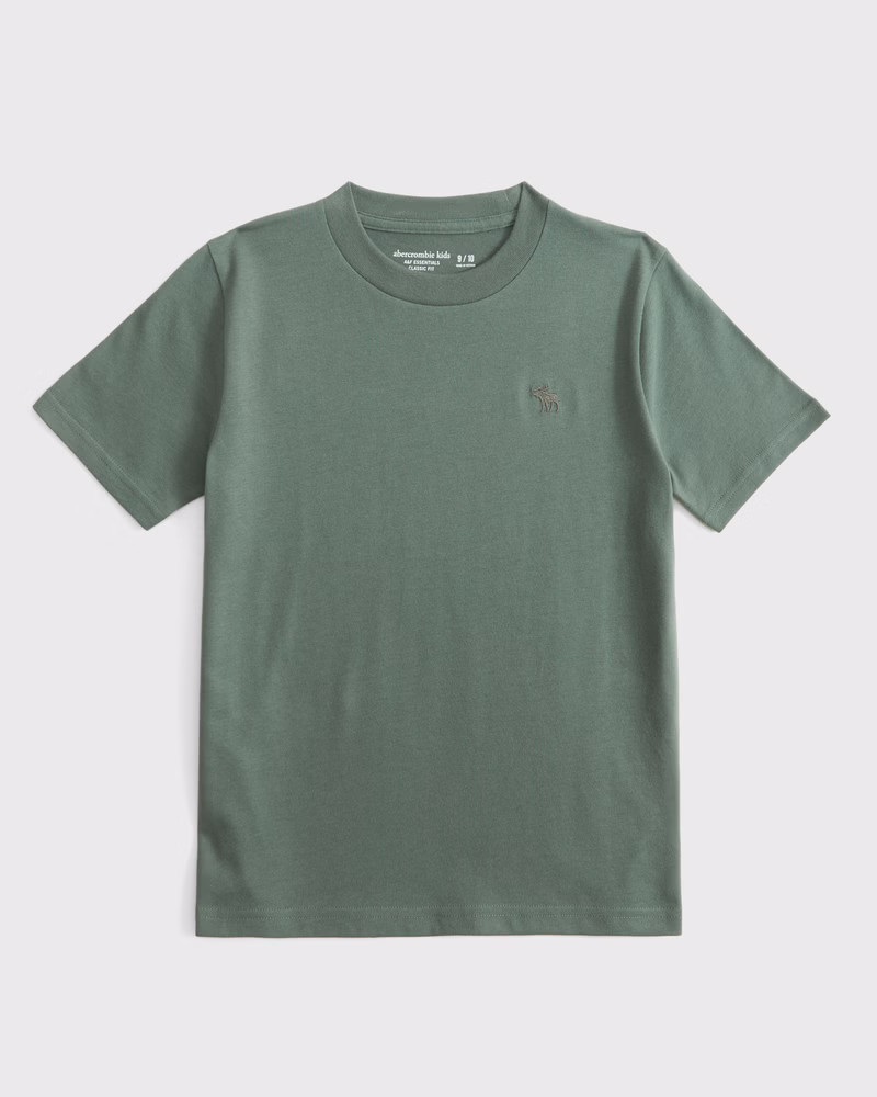 essential icon crew tee | Abercrombie & Fitch (US)
