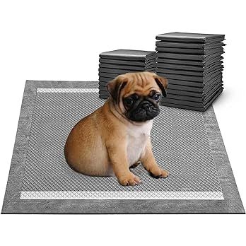 Puppy Pads Disposable Puppy Training Pads XL，Charcoal Puppy Pads Large 24" x 36 ", Super Absorb... | Amazon (US)