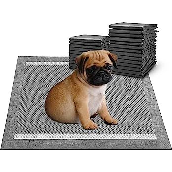 Puppy Pads Disposable Puppy Training Pads XL，Charcoal Puppy Pads Large 24" x 36 ", Super Absorb... | Amazon (US)
