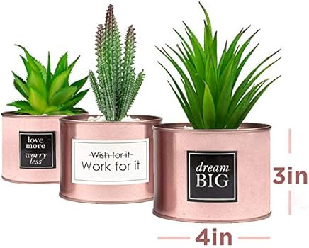 Office Decor for Women Desk- Rose Gold Decor Desk Plant For Bookshelf Decor, Boho Bedroom Decor F... | Amazon (US)