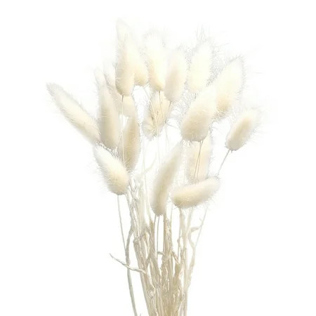 FRCOLOR 1 Bunch/60 Pcs Wedding Decoration Dried Grass Rabbit Tail Hay Natural Plants Dried Flowers f | Walmart (US)