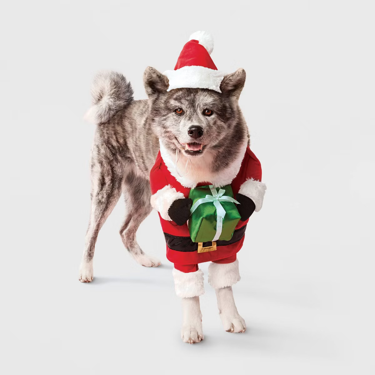 Santa Paws Dog Frontal Costume - Boots & Barkley™ Red M | Target