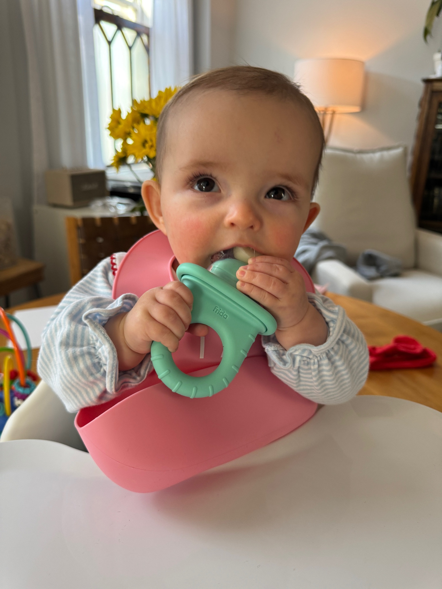 Little holder for frozen milk cubes to help with teething! 

#LTKKids #LTKFindsUnder50 #LTKBaby