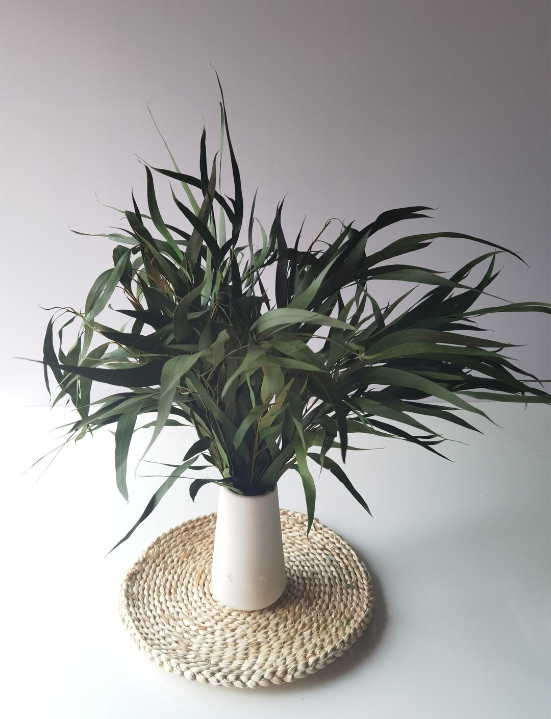 Immortal Feather Willow Eucalyptus , Event, DIY, Home Office Decor, Bulk Green Bunch | Etsy (US)