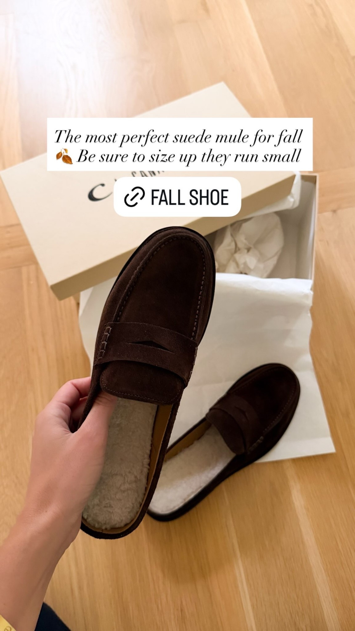 The most perfect suede mule for fall 🍂 Be sure to size up they run small! Use code LTK15 for 15% off. Fall shoe, penny loafer.

#LTKWorkwear #LTKTravel #LTKSaleAlert