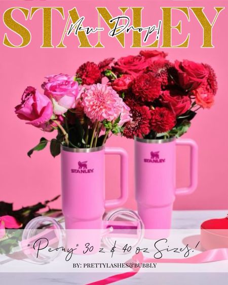 New Stanley drop for additional accessories and bigger sizes on the Peony tumbler!

#stanley #viral #bestseller #favorites

#LTKFitness #LTKGiftGuide #LTKFindsUnder50